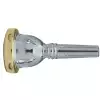 Vincent Bach 350 5GS gold rim Vincent Bach 350 5GS gold rim