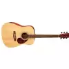 Gewa Pure vgs D-10 NAT
