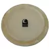 Toca TP-3111-3/4HDF
