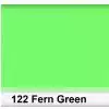 Lee 122 Fern Green