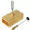 Wittner case