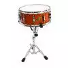 Ludwig Accent CS Custom Elite (Amber)