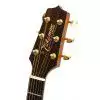 Takamine G340