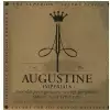 Augustine 650441