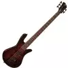 Spector Legend 5 Classic Black Cherry