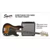 Fender Precision Bass Pj Pack, Laurel Fingerboard, Brown Sunburst, 230v Eur
