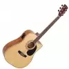 Cort Earth AD-880CE Natural