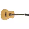 Fender Pm-Te Travel Standard, Ovangkol Fingerboard, Natural