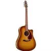 Seagull Entourage Rustic CW QI