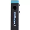 Roland Rt Mics