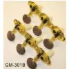 Akmuz GM301B
