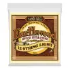 Ernie Ball 2010 Earthwood 12′s Light 