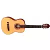 Gewa Pro Arte GC100 II