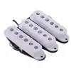 Fender Custom Shop Fat 50′s
