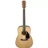 Fender CD-60 V3 DS Natural WN