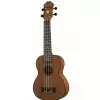 Epiphone EpiLani Ukulele
