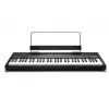 Alesis Recital 61