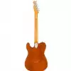 Fender 011-0182-829