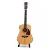 Cort Earth 70 12E NAT