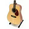 Cort Earth 70E NS
