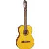 Takamine GC1-NAT