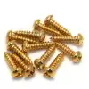 Fender Pure Vintage Tuning Machine Mounting Screws, Gold,