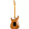 Fender American Professional II Stratocaster Maple Fingerboard, Roasted Pine