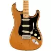 Fender American Professional II Stratocaster Maple Fingerboard, Roasted Pine