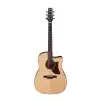 Ibanez AAD170CE-LGS