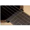 Ibanez AAD170CE-LGS