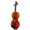 Strunal 175W 4/4