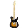 FGN J-Standard Iliad 2-Tone Sunburst