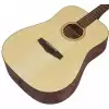 Ibanez PF10-OPN