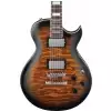 Ibanez ART120QA-SB
