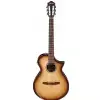 Ibanez AEWC300N-NNB