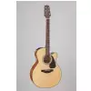 TAKAMINE GN15CE-NAT
