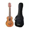 TAKAMINE GUS1E