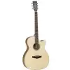 TANGLEWOOD TPE-SFCE-ZS