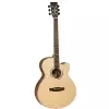 TANGLEWOOD DBT SFCE BW