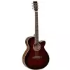 TANGLEWOOD TW4-WB