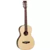 TANGLEWOOD TWJ-PS
