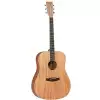 TANGLEWOOD TWU-D