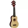 TANGLEWOOD TWTSP-NA