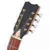 Thomann Mandocello C Tuning (B-STOCK)