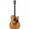 Ibanez AVD11CE-ANS