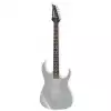 Ibanez 1NK1PA0117
