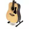 Ibanez V7012 NT