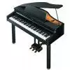 Roland RG 1F
