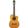 Takamine GC3CE-NAT