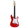 Washburn WS 300 H (R) 